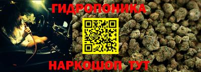 гашиш Гатчина