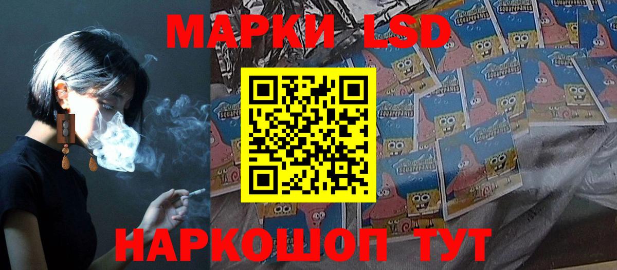 Бошки Шишки Елизово