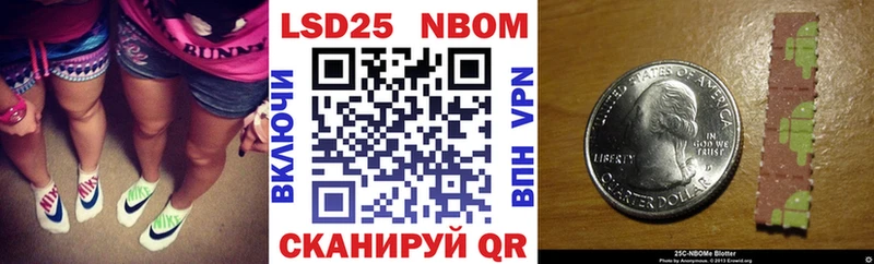 где найти наркотики  Елизово  Марки NBOMe 1,8мг 