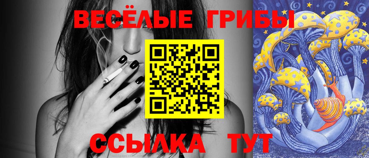 Галлюциногенные грибы прущие грибы  Елизово 