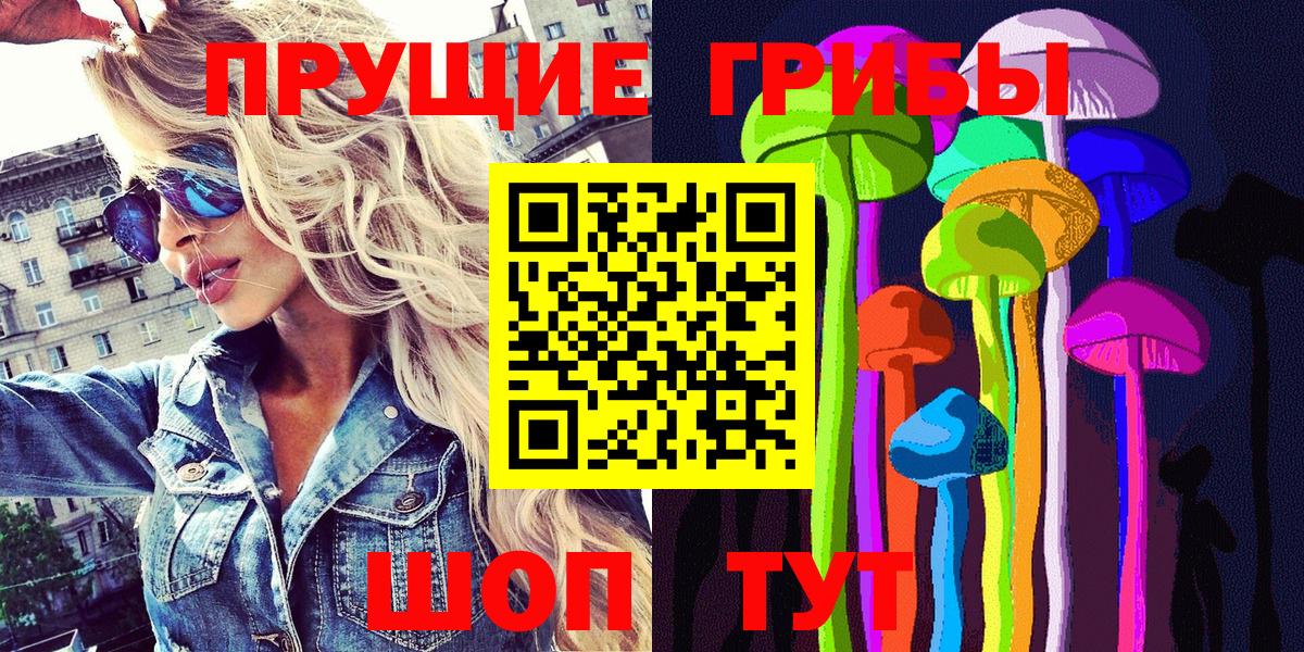 Елизово  Галлюциногенные грибы Psilocybine cubensis  Вход с VPN 