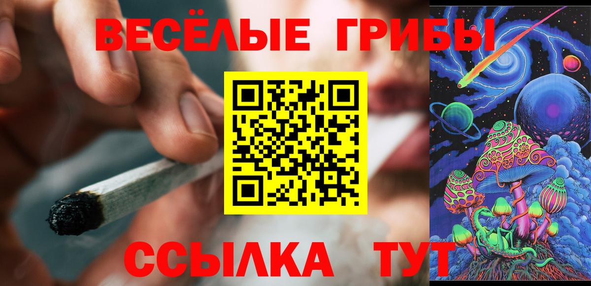 Галлюциногенные грибы прущие грибы Елизово