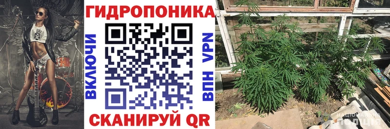 Конопля гибрид  где продают   Елизово 