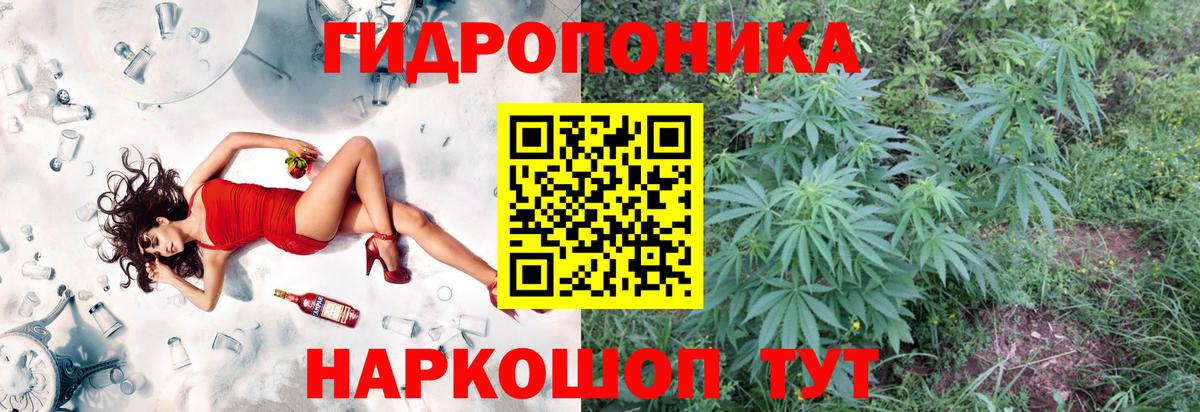 Каннабис OG Kush Елизово